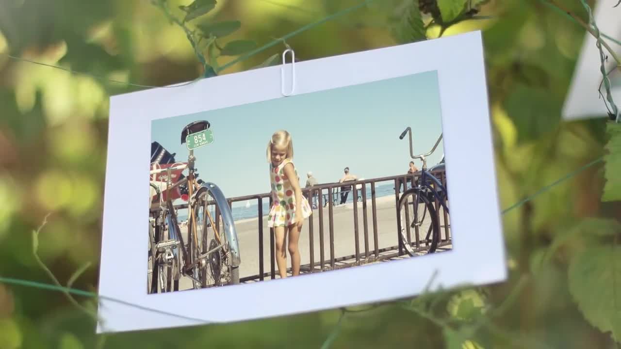 时尚的夏日照片动画展示Pr模板
