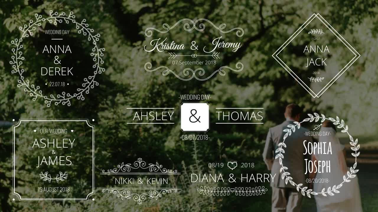 漂亮干净优雅的婚礼标题动画AE模板
