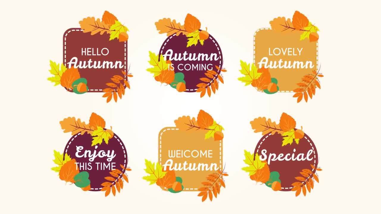 6组秋季氛围logo特效时尚标题动画ae模板