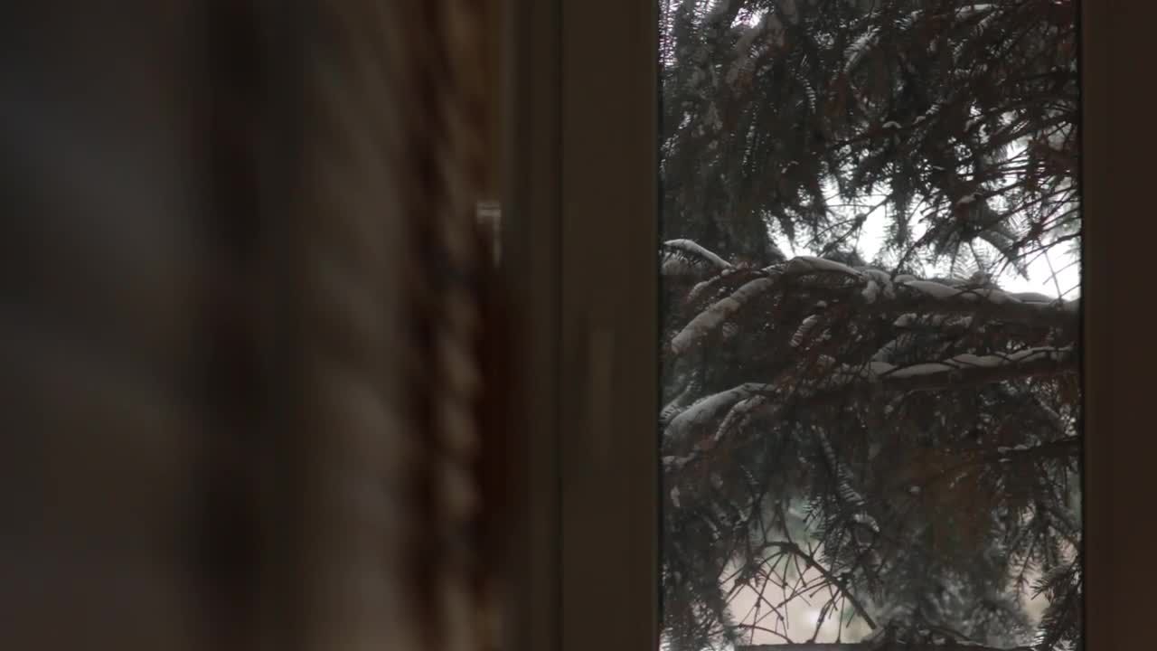 树枝厚厚白雪视频特效