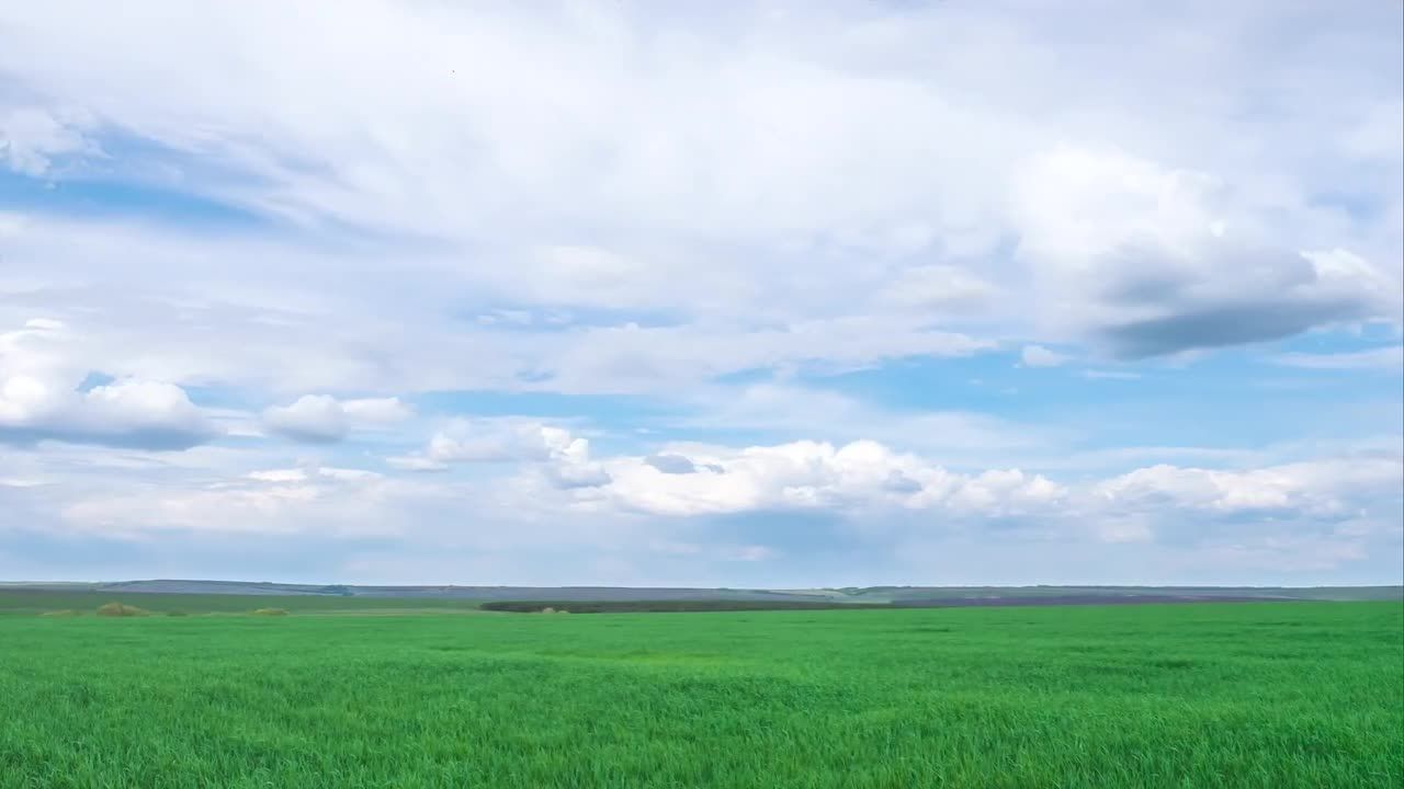 绿色田野上的白云视频素材