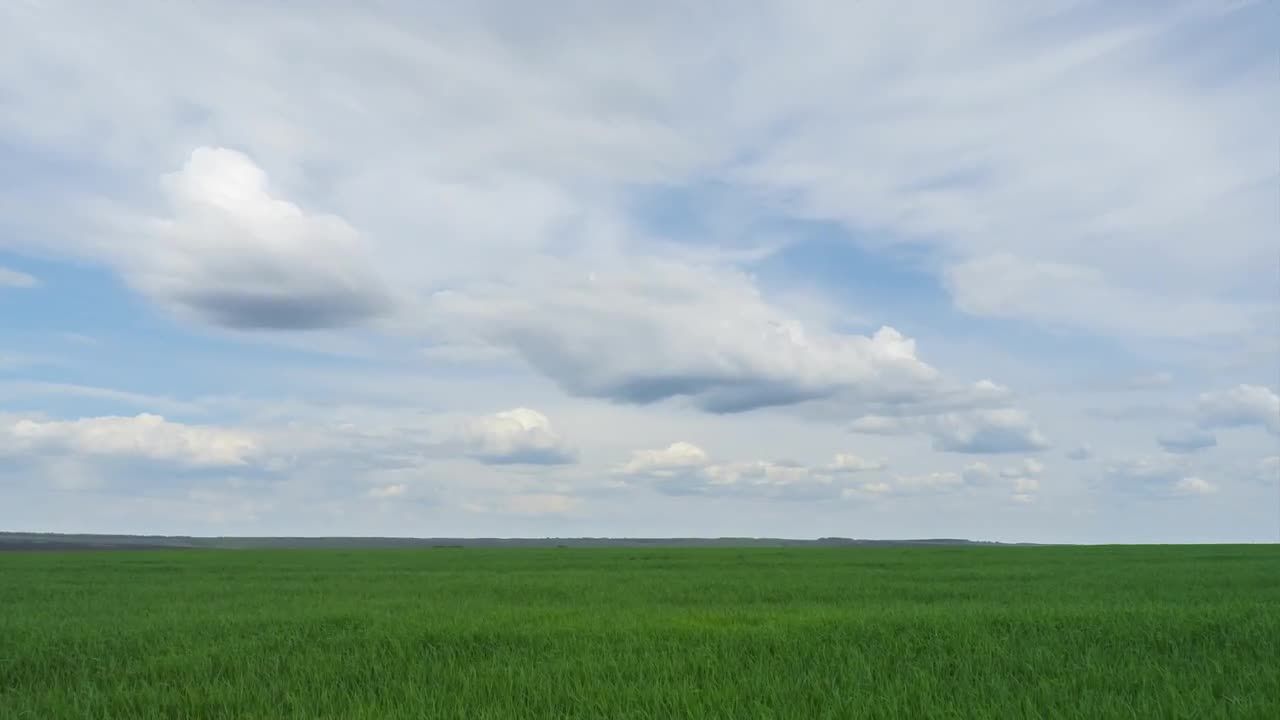 绿色田野上空移动的云视频素材