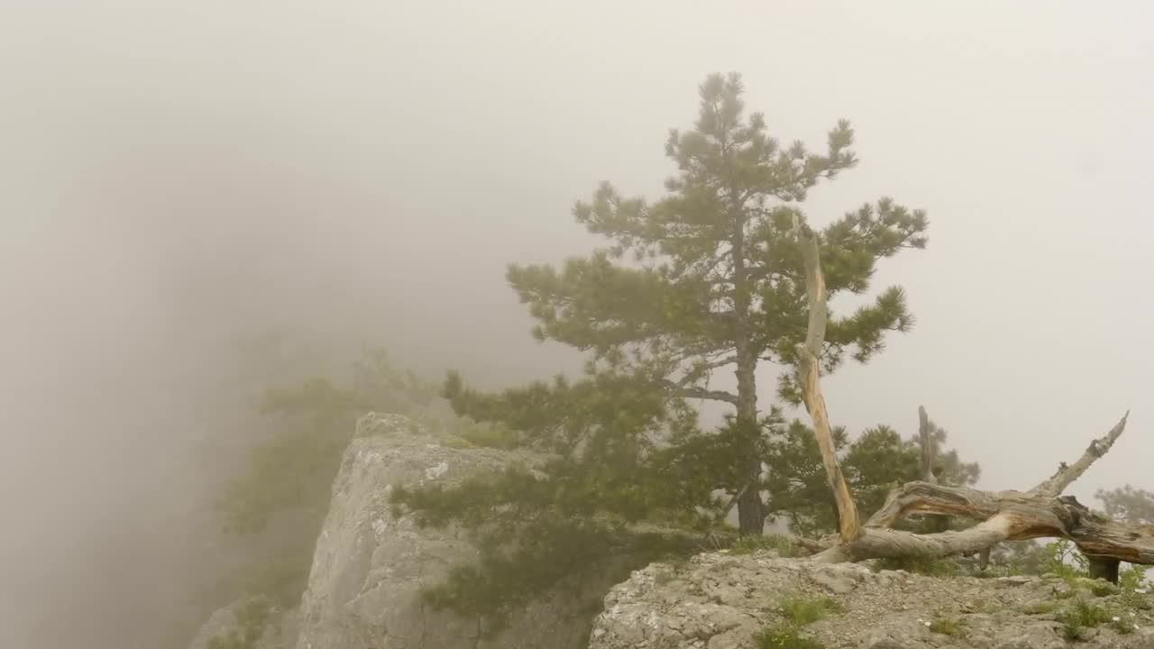 山峰上起雾视频