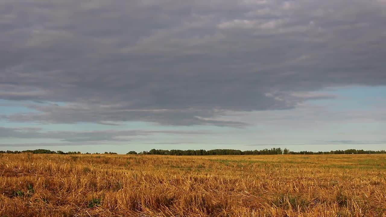 田野上空流动的乌云视频素材