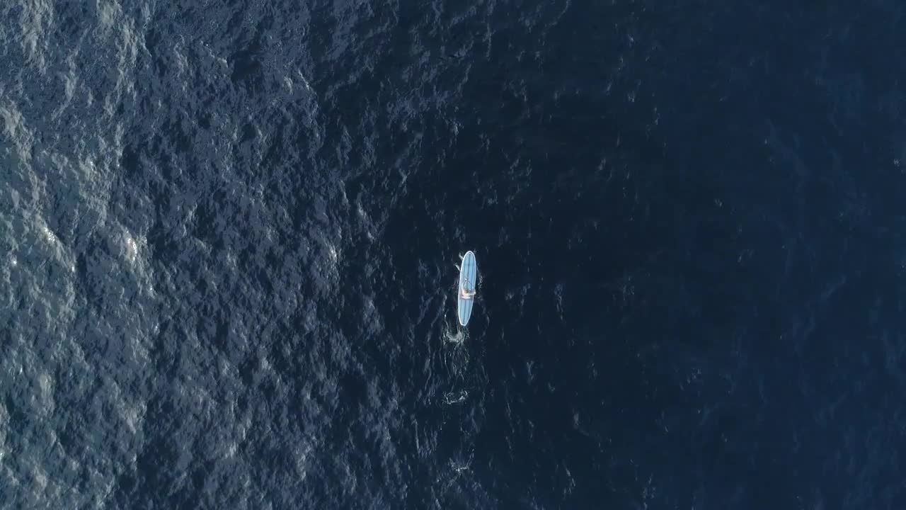 在海洋站着上划桨板特效视频