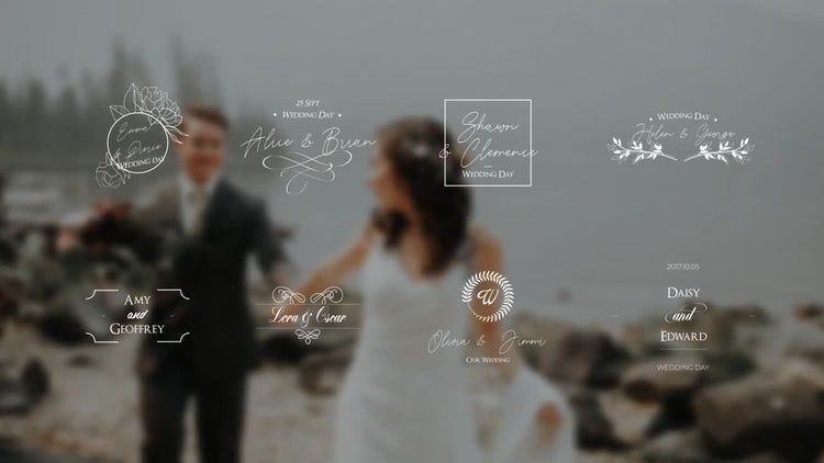 婚礼标题一个充满情感和优雅效果的AE模板