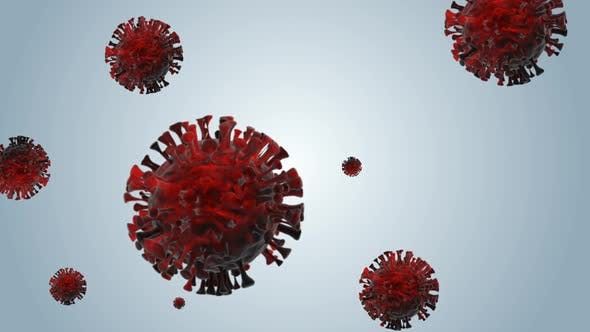 蜂窝冠状病毒视频素材