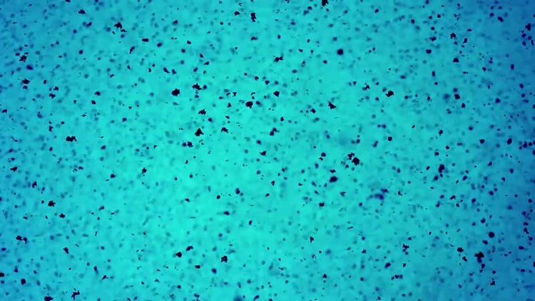 蓝色背景中飞行的黑色微粒视频特效
