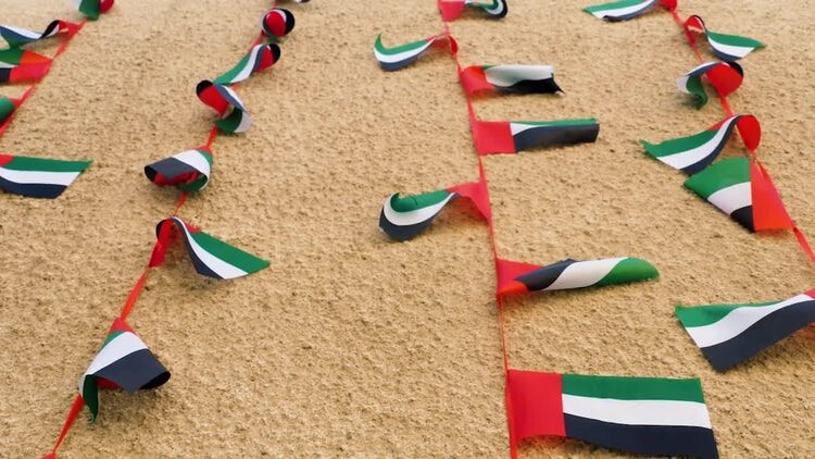 墙上挂着的阿联酋国旗串视频素材