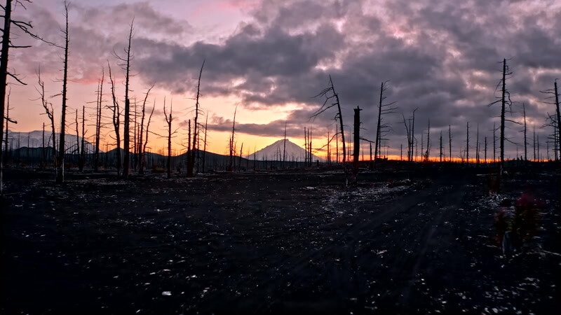 烧毁树木的火山地区空中实拍视频