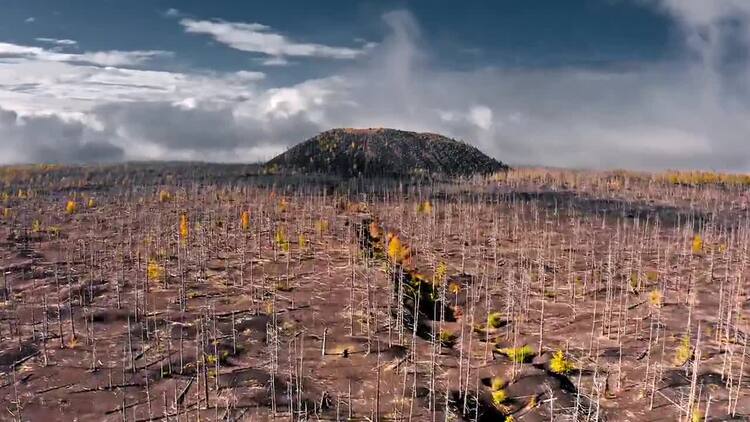 在火山上烧毁了树木森林实拍视频