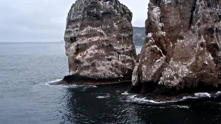 鸟儿在水中的大型岩层中飞行航拍视频
