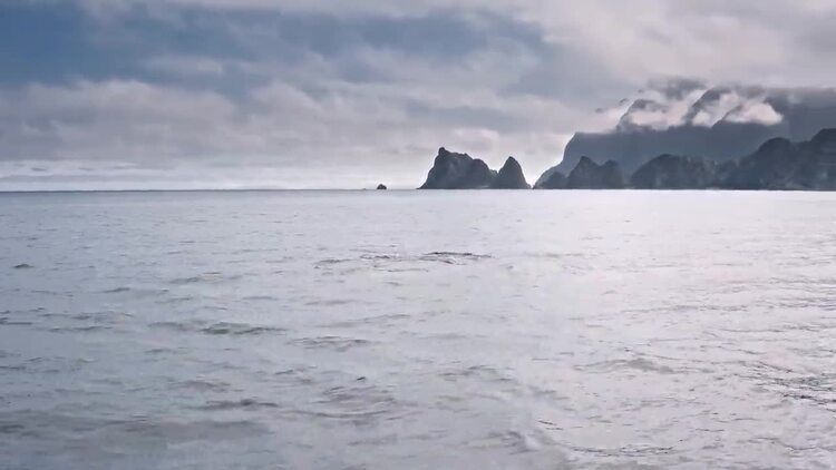 三只虎鲸在海洋中游泳实拍视频
